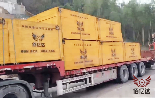 浙江建筑模板卸車場(chǎng)景圖