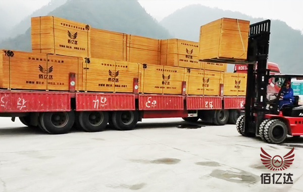 建筑木模板浙江施工場(chǎng)地卸車(chē)圖